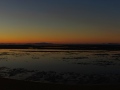 IMG_6524