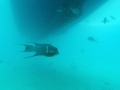 DCIM100GOPROGOPR5428.