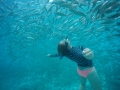 DCIM100GOPROGOPR5575.