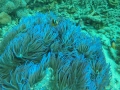 DCIM100GOPROG0360882.
