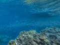 DCIM100GOPROG0631326.