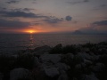 IMG_1534
