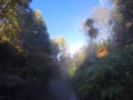 DCIM101GOPROGOPR9859.