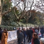 Shanghai