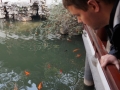 Yuyuan Gardens