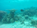 DCIM100GOPROG0103472.