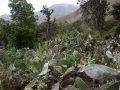 DSC00969