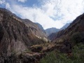 DSC01008