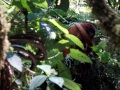 DSC01805