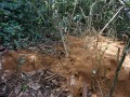 DSC01842