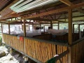 DSC01860