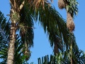DSC01885