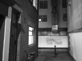 FullSizeRender3