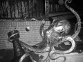 FullSizeRender4