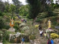 DSC02110