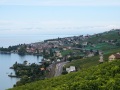 IMG_0592