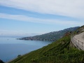 IMG_0646