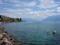 IMG_0799