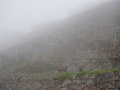 DSC01549