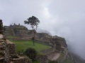 DSC01557
