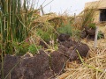 DSC01957