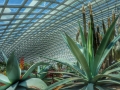 Singapore Flower Dome