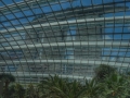 Singapore Flower Dome