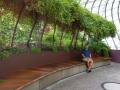 Singapore Flower Dome